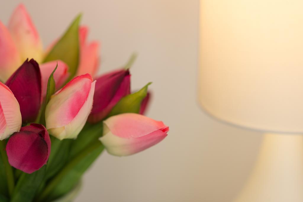 Cambridge Orchard Apartments - 2 Double Bedrooms 部屋 写真